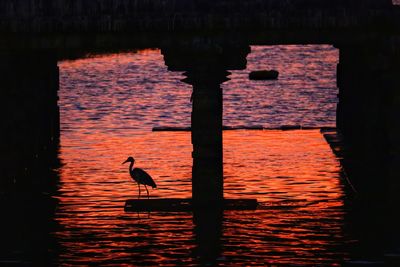 Silhouette bird perching on wooden post in lake during sunset