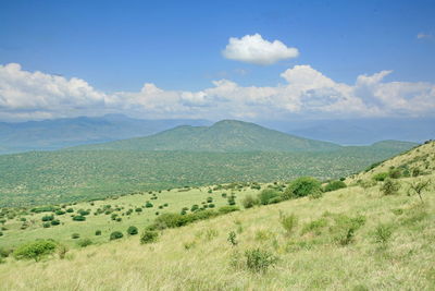 Scenic view of landscape against sky