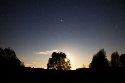 Silhouette trees against sky at night