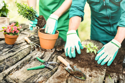 Midsection of man and potted plants