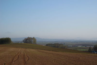 Scenic view of field against clear sky