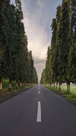 Empty road amidst trees against sky