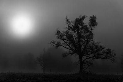 Silhouette tree on field against sky during foggy weather