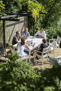 Friends having breakfast at yard