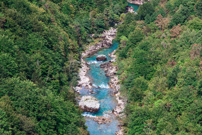 Rapid water view from above . mountain river and forest scenery