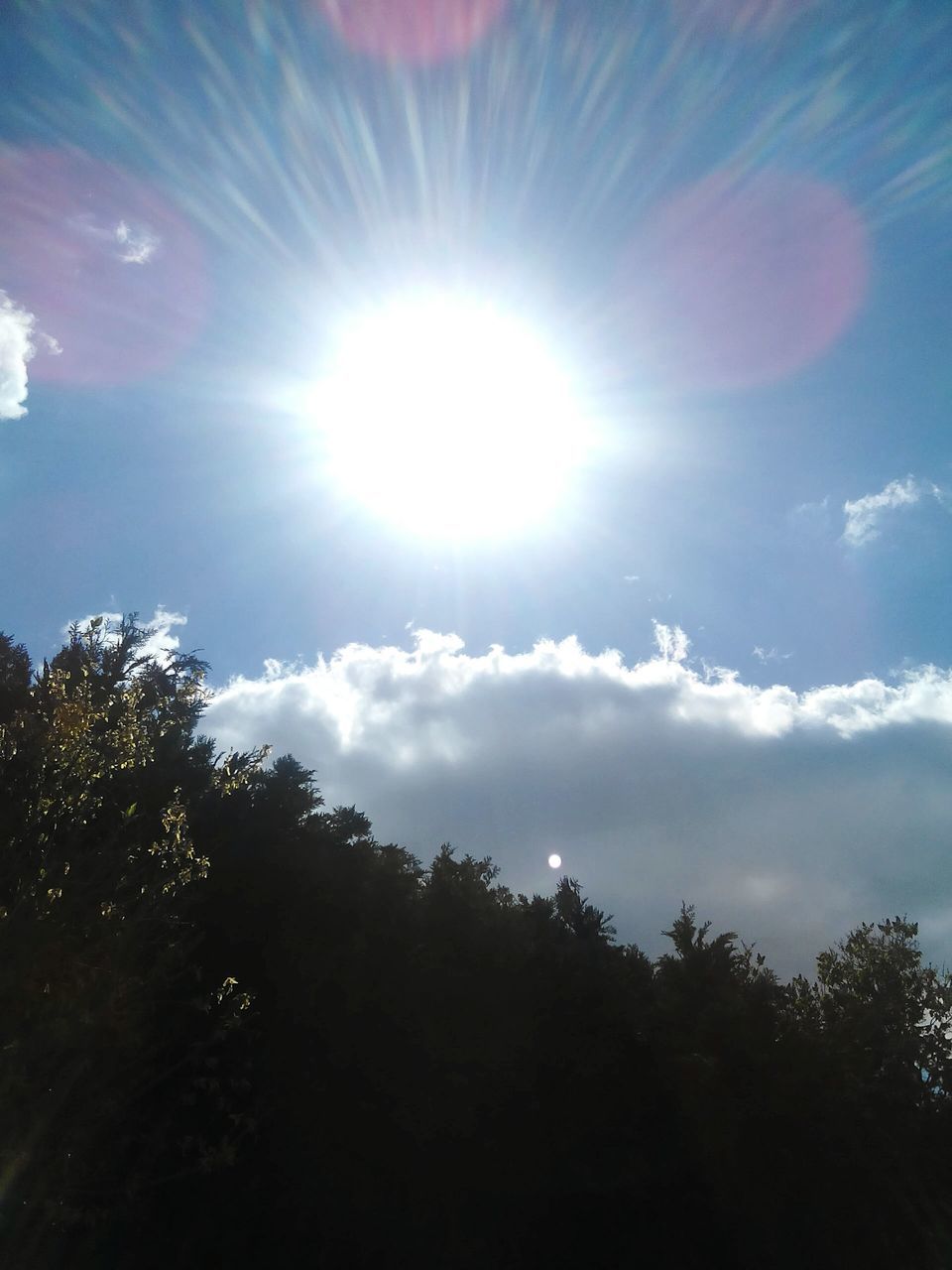 sun, sunbeam, sunlight, tree, lens flare, sky, low angle view, beauty in nature, tranquility, sunny, nature, bright, tranquil scene, scenics, blue, cloud - sky, day, growth, silhouette, cloud