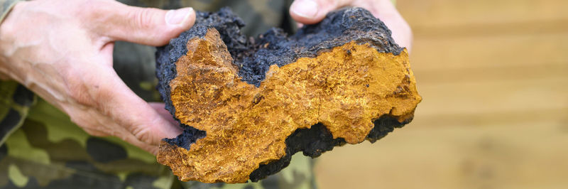 Close-up of hand holding yellow leaf