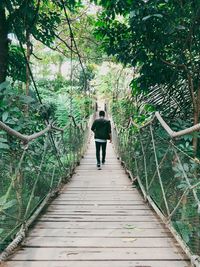 Rear view of man walking on footpath amidst trees