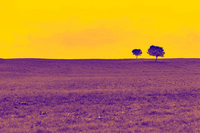 Scenic view of field against orange sky