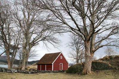 Bare trees on field by house against sky