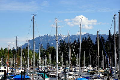 Boats moored at harbor
