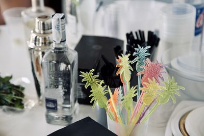 Close-up of potted plant on table
