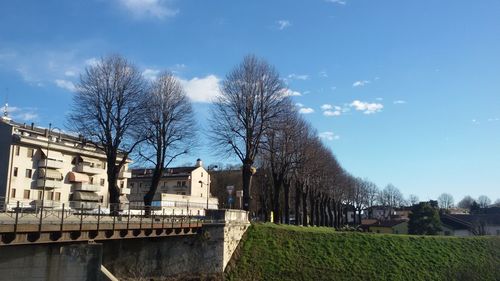 Bare trees against sky