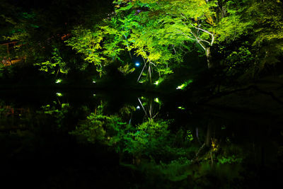 Reflection of trees in lake at night