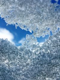 Close-up of snowflakes on ice