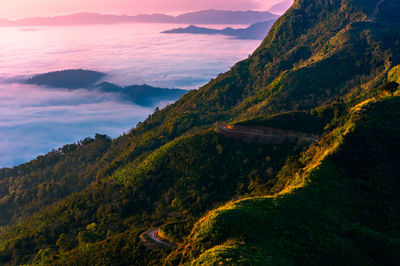 Sunrise at phu chi dao, the unseen spot of sea fog on mountain peak in chiang rai, thailand.