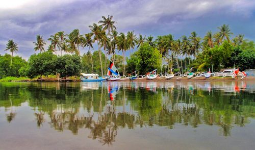 Scenic view of palm trees in lake against sky