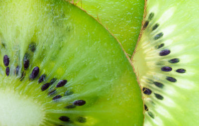 Full frame shot of kiwi slice