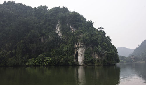 Scenic view of river by trees in forest against sky