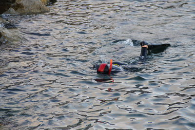 High angle view of person swimming in sea