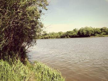 Scenic view of river against clear sky