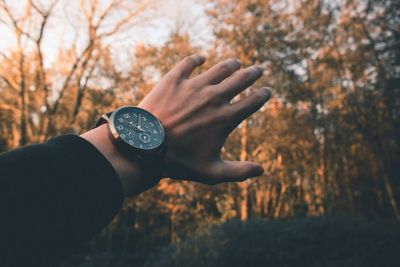 Close-up of hand holding autumn leaves in forest