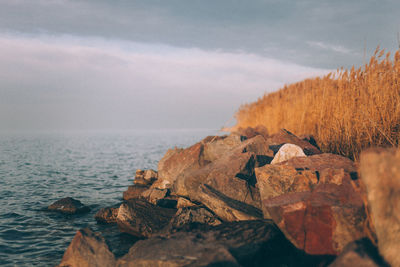 Close-up of rocks in sea against sky