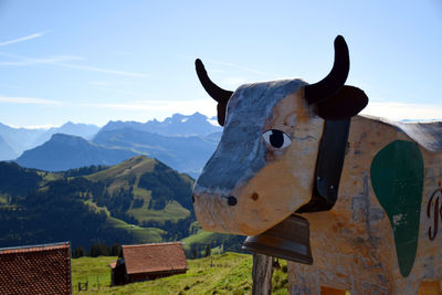 A wooden cow statue and panoramic from the top of rigi kulm, mount rigi in switzerland
