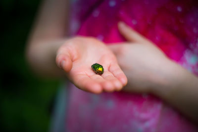 Close-up of hand holding small leaf
