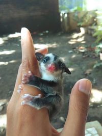 Midsection of person holding hands