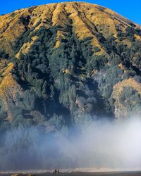 High angle view of trees on mountain