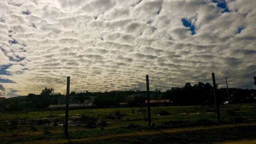 Storm clouds over grass