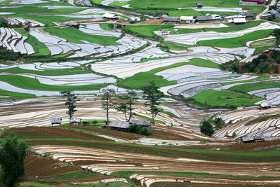 High angle view of agricultural field