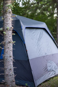 Close-up of tent in forest