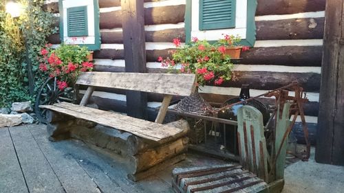 Potted plant on table by building