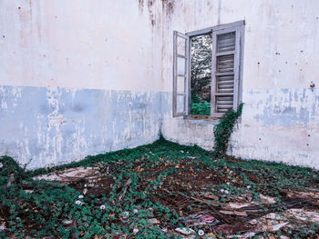 Window of old building