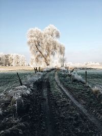 Bare trees by railroad tracks against clear sky during winter