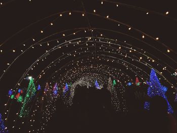 Illuminated ferris wheel against sky at night