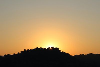 Silhouette of trees at sunset