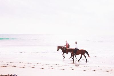 Silhouette of young man on beach