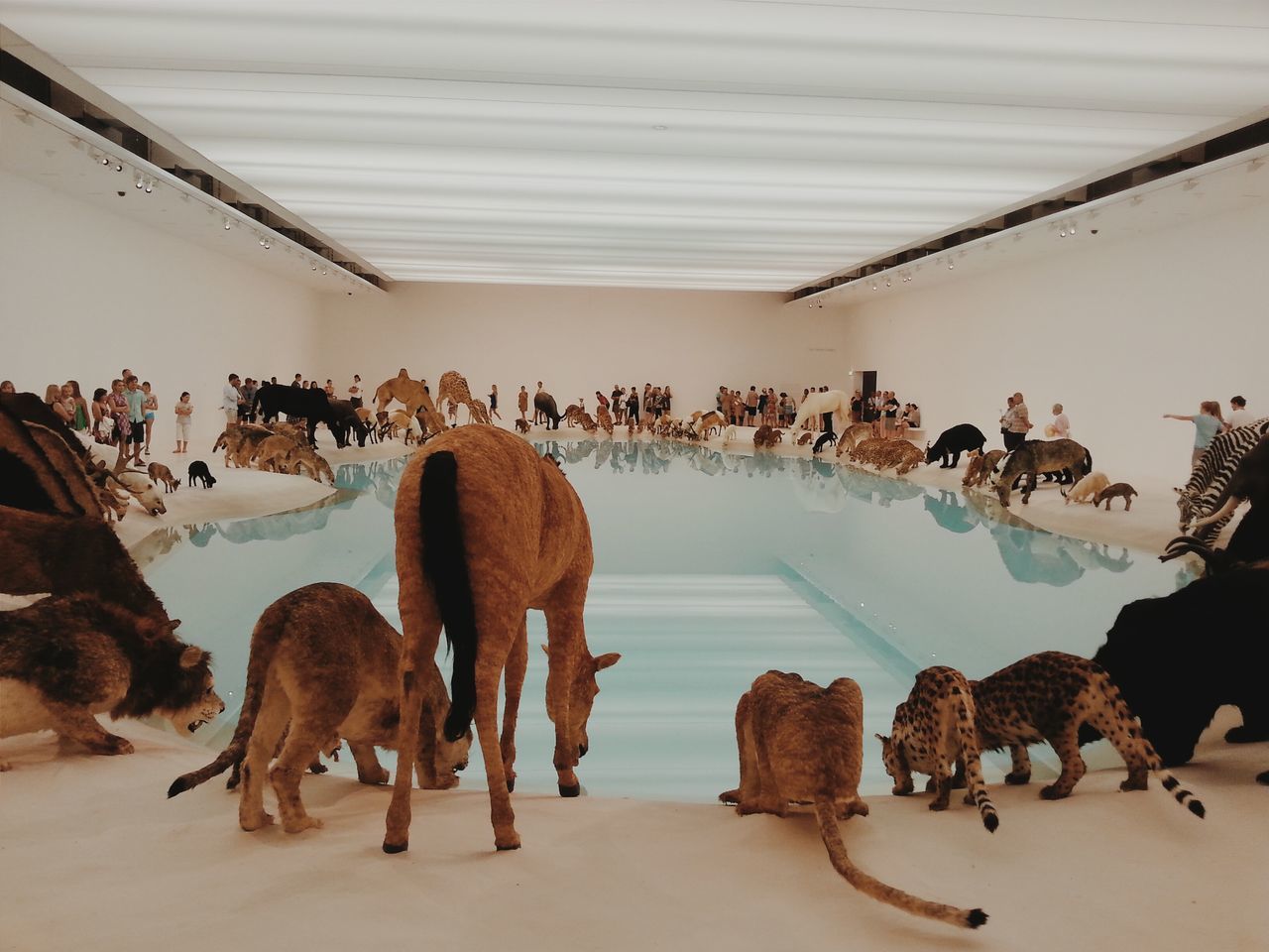 Cai guo-qiang