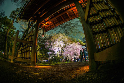 Trees in park against building