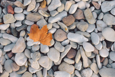 Full frame shot of pebbles