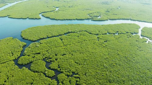 High angle view of green field