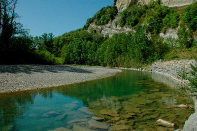 Scenic view of river in forest against sky