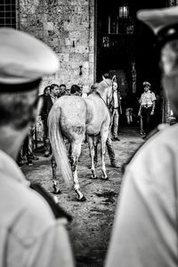 Rear view of people walking on street in city