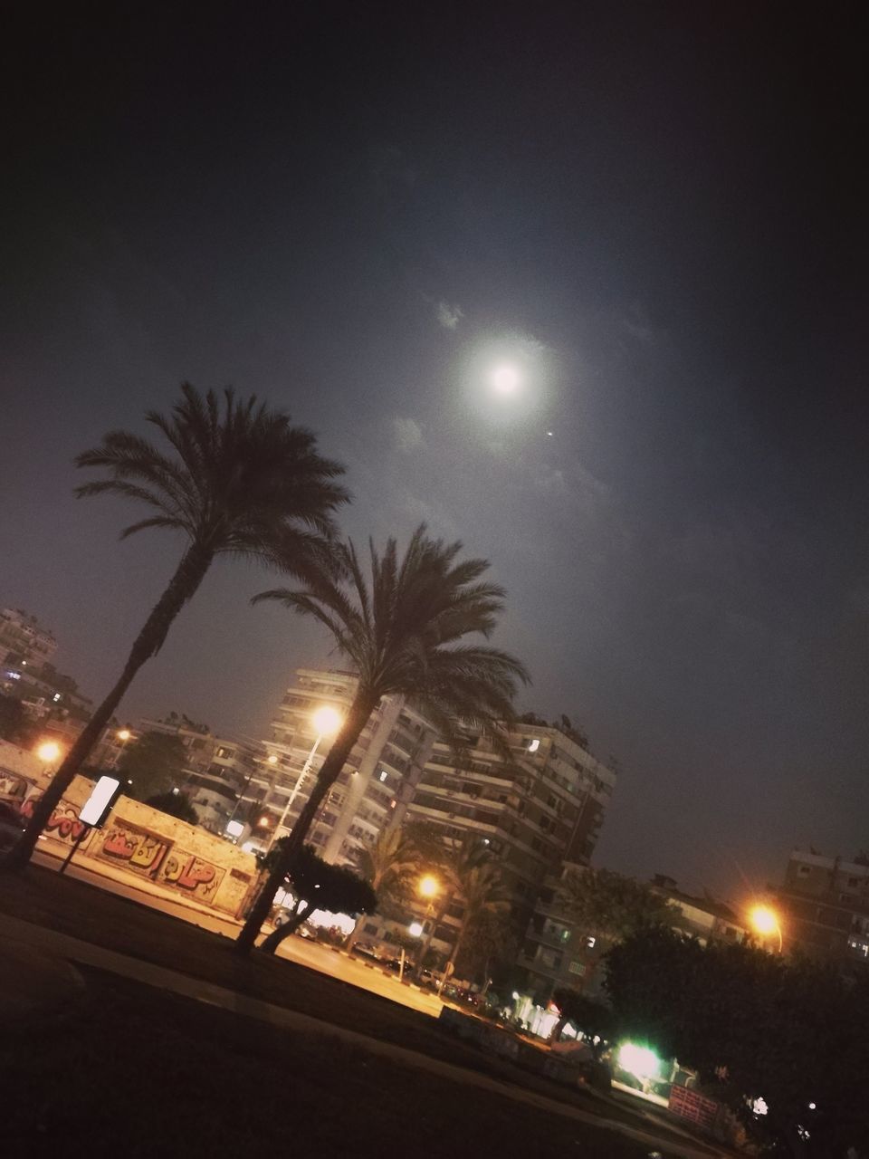 night, illuminated, sky, moon, building exterior, tree, architecture, no people, outdoors, silhouette, built structure, palm tree, star - space, astronomy