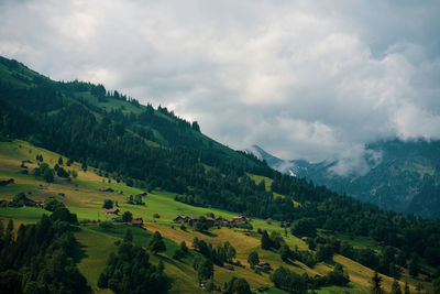 Peaceful rural scene