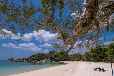 Scenic view of beach against sky