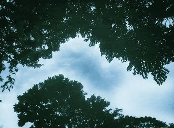 Low angle view of trees against cloudy sky